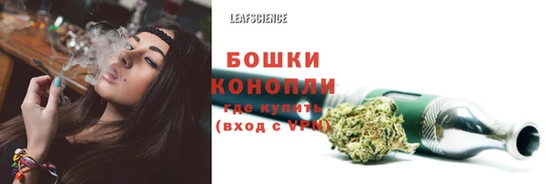 бутират Инта