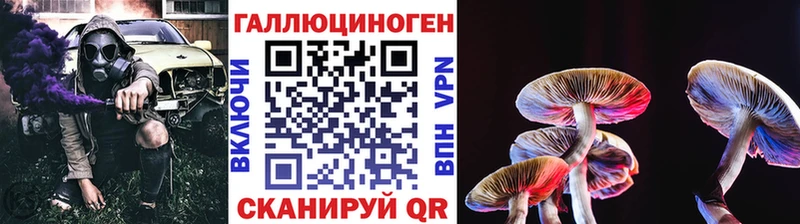 Купить закладки  Невельск  Псилоцибиновые грибы прущие грибы 